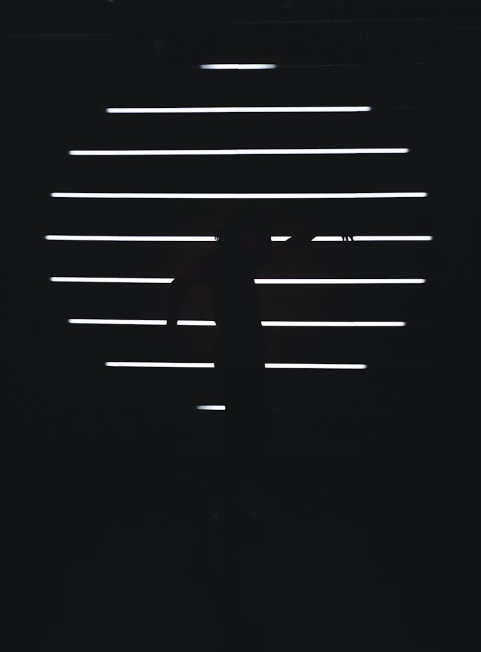 Dark silhouette moving against illuminated horizontal stripes in a black and white design.